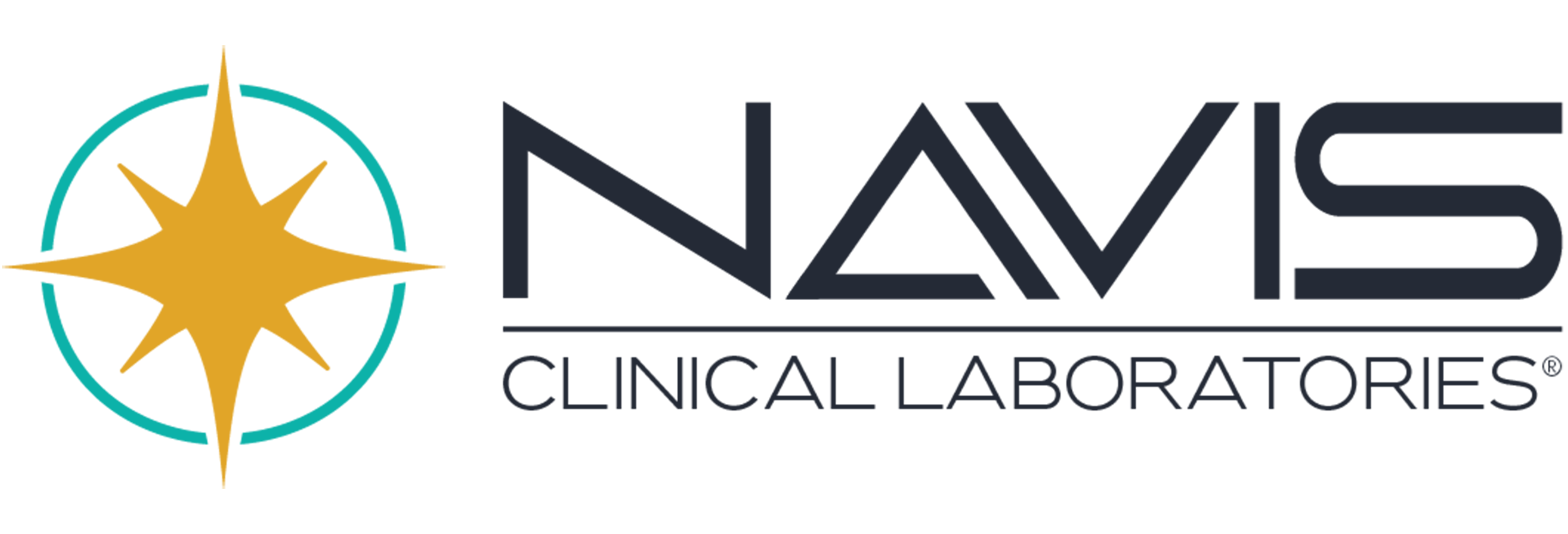 NAVIS Logo